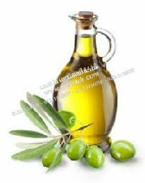 نطرح لكم نحن المهندس منسي مقالة بعنوان الزيتون