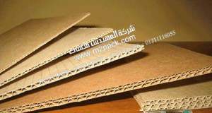 نقدم لكم نحن المهندس منسي ‎مقاله بعنوان الكرتون المضلع