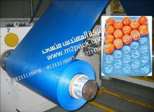 نقدم لكم نحن المهندس منسي مقالة بعنوان خطوط إنتاج الخضروات صناعة تستحق الاحترام