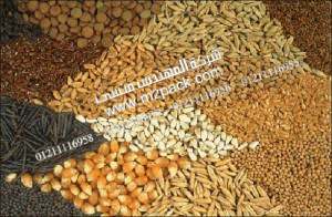 نقدم لكم نحن المهندس منسي ‎مقالة بعنوان صناعة الحبوب Grain Industry