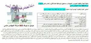 تعبئة و تغليف حجمية لتعبئة المنظفات 1 300x141